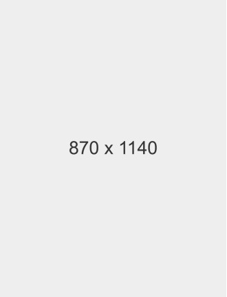 Drools Focus Dry Dog Food